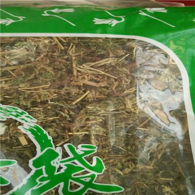 石上柏哪里有卖 石上柏批发零售