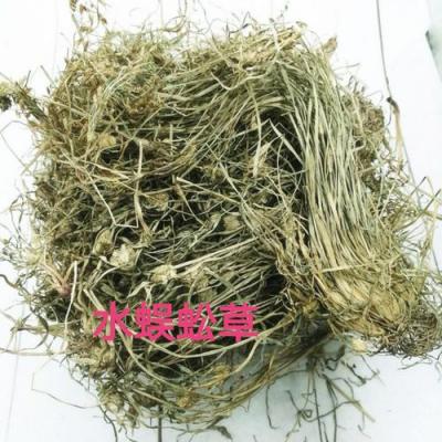 水蜈蚣哪里有卖 水蜈蚣批发零售