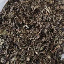 中药材鼠尾草哪里有卖 鼠尾草多少钱一斤