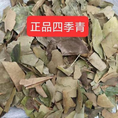 中药材四季青哪里有卖 四季青批发零售