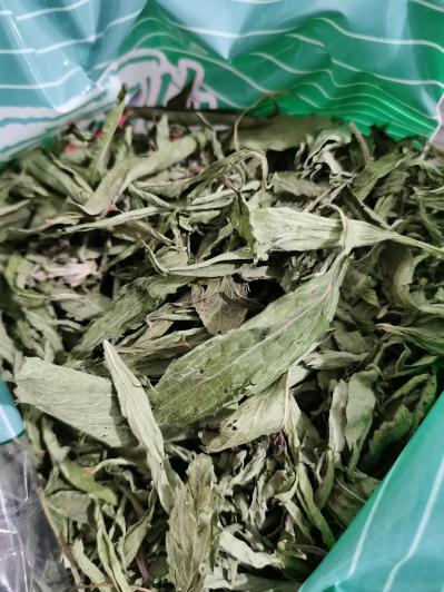 甜叶菊哪里有卖 甜叶菊批发零售