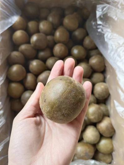 罗汉果 好货，产地直销，大果中果小果都有货，大量批发，价格优惠