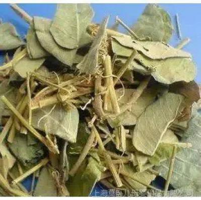 蜈蚣七有什么功效 蜈蚣七哪里能买到