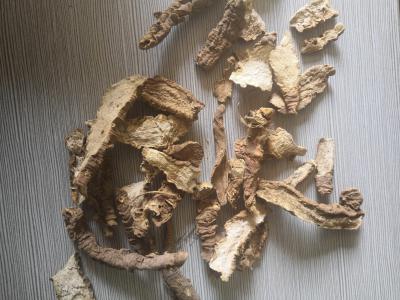 中药材万年青根哪里能找到 万年青根供应电话