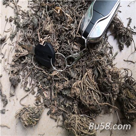 缬草多少钱一斤 缬草有什么作用