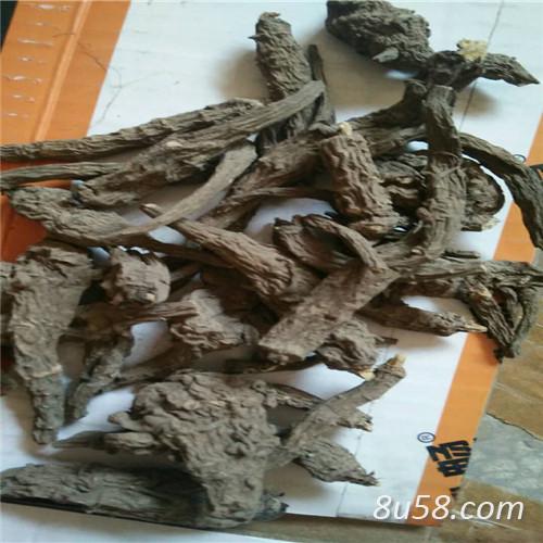 中药材铁棒锤哪里有卖 铁棒锤批发零售