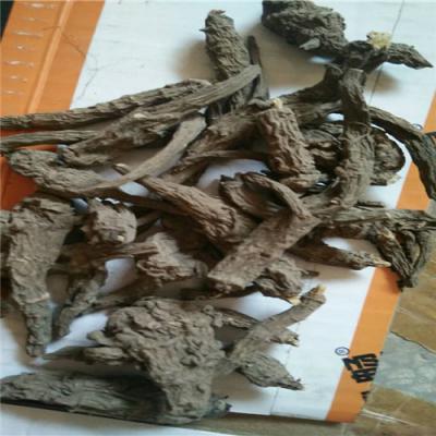 中药材铁棒锤哪里有卖 铁棒锤批发零售
