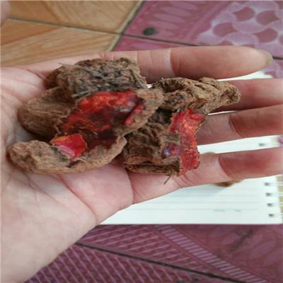 血三七哪里能买到 药材专卖网供应血三七