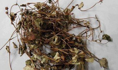中药材小草有哪些功效 小草批发零售