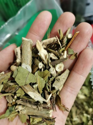 中药材小驳骨哪里有卖 小驳骨批发零售