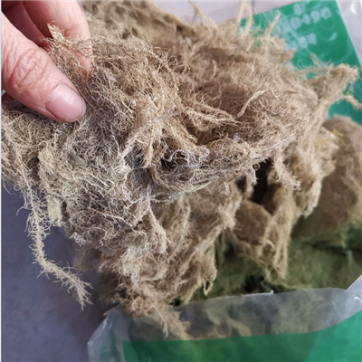 云雾草哪里有卖 云雾草多少钱一斤