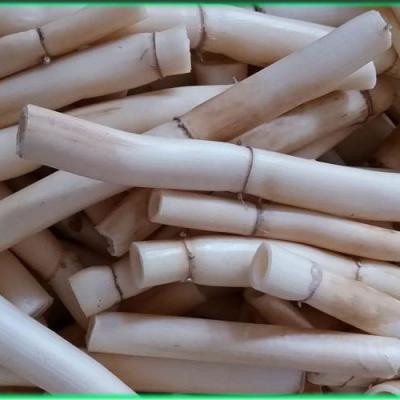 鲜芦根，现挖现发货，保证质量精选上等品，2斤起批