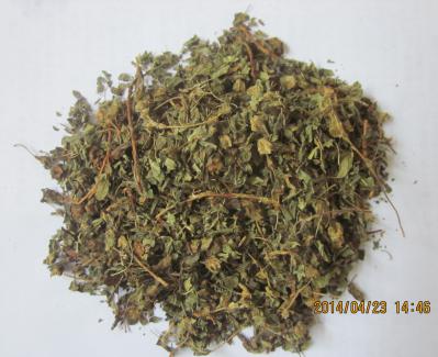 中药材药王茶批发零售 药王茶多少钱一斤