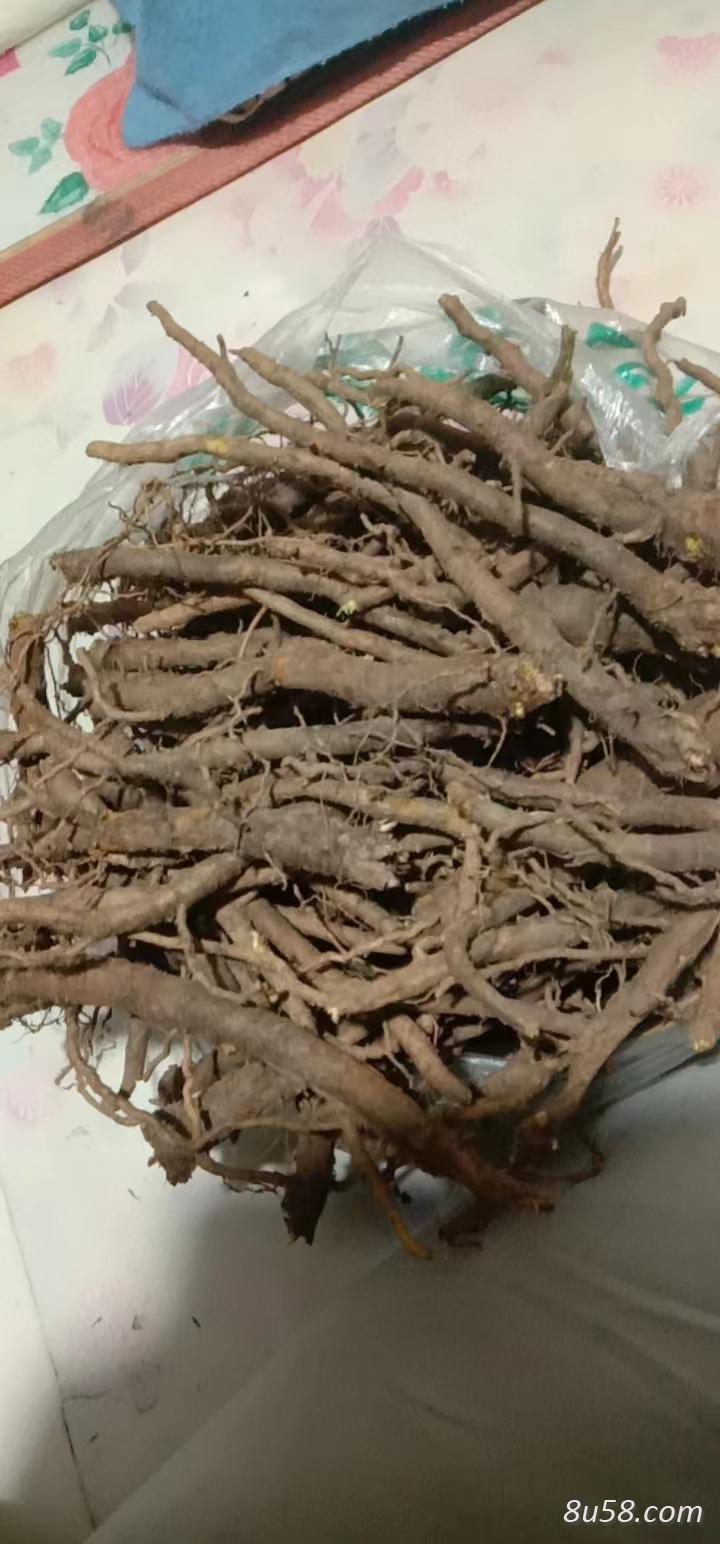 内蒙3年生黄芩大量出售 来个老板带价拉走