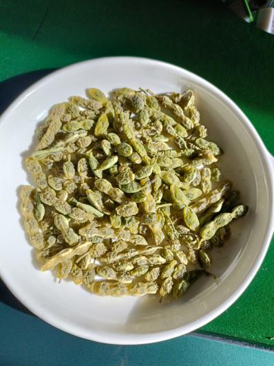 优质中药材槐角