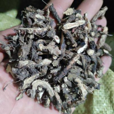 中药材洋火叶根哪里有卖 洋火叶根批发零售