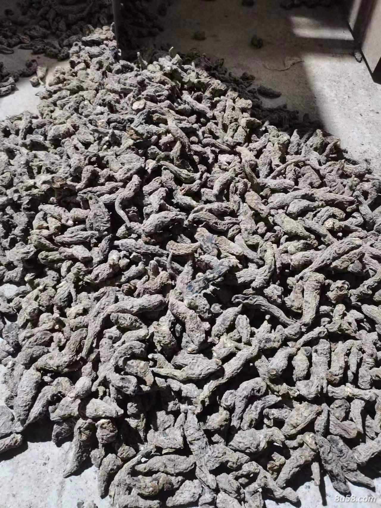 大量熟地黄出售，土炉烤、电烤都有。