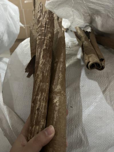 湖北产紫油厚朴干皮，刮皮，双卷筒