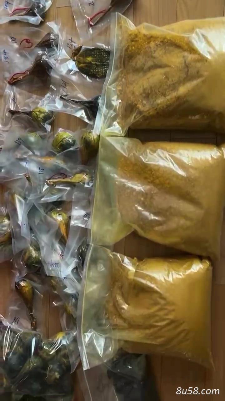 熊胆粉