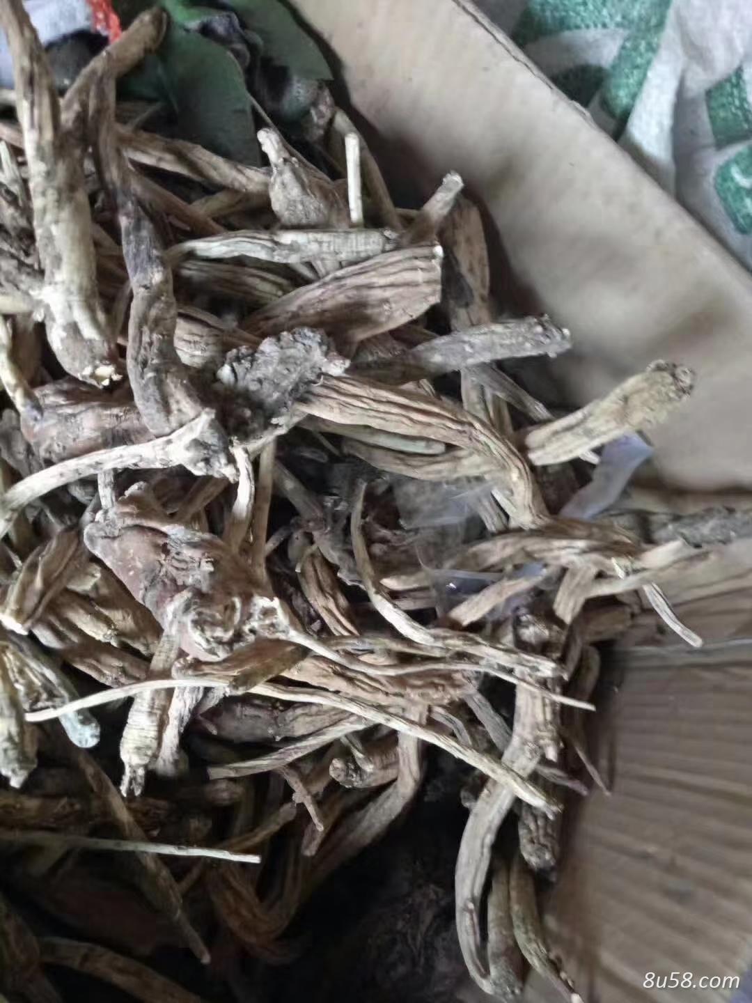 金铁锁