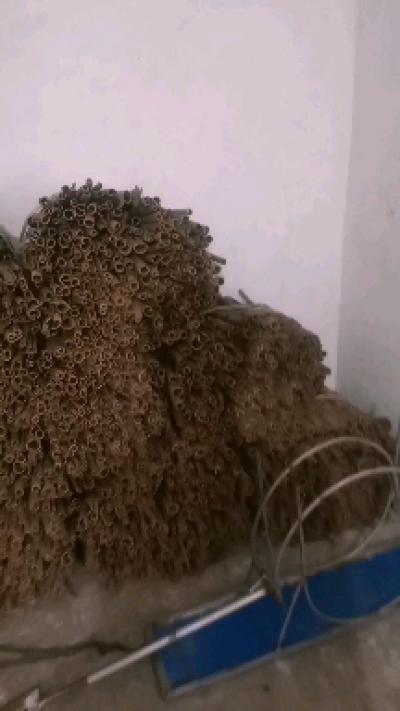 大量肉桂出售