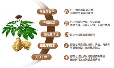 云南文三三七