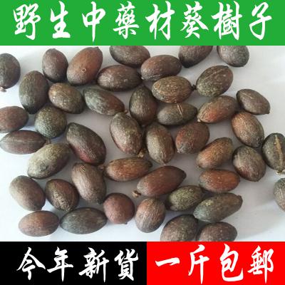 葵树子野生中药材蒲葵子配药方