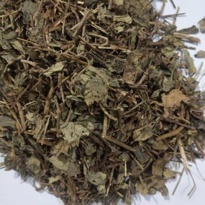 肺形草治什么病 正宗野生中药材肺形草哪里卖 肺形草药用价值
