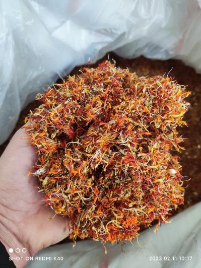云南红花籽花 小花 大量供应