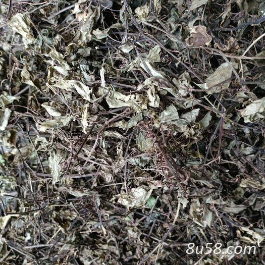 中药材三角枫青藤常春藤产地直销 青藤一斤多少钱 青藤批发零售