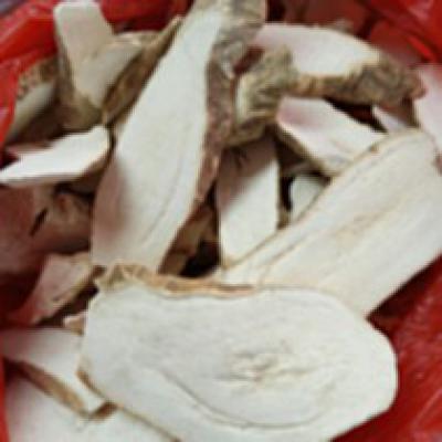 安国偏门中药材玉郎伞一吨多少钱