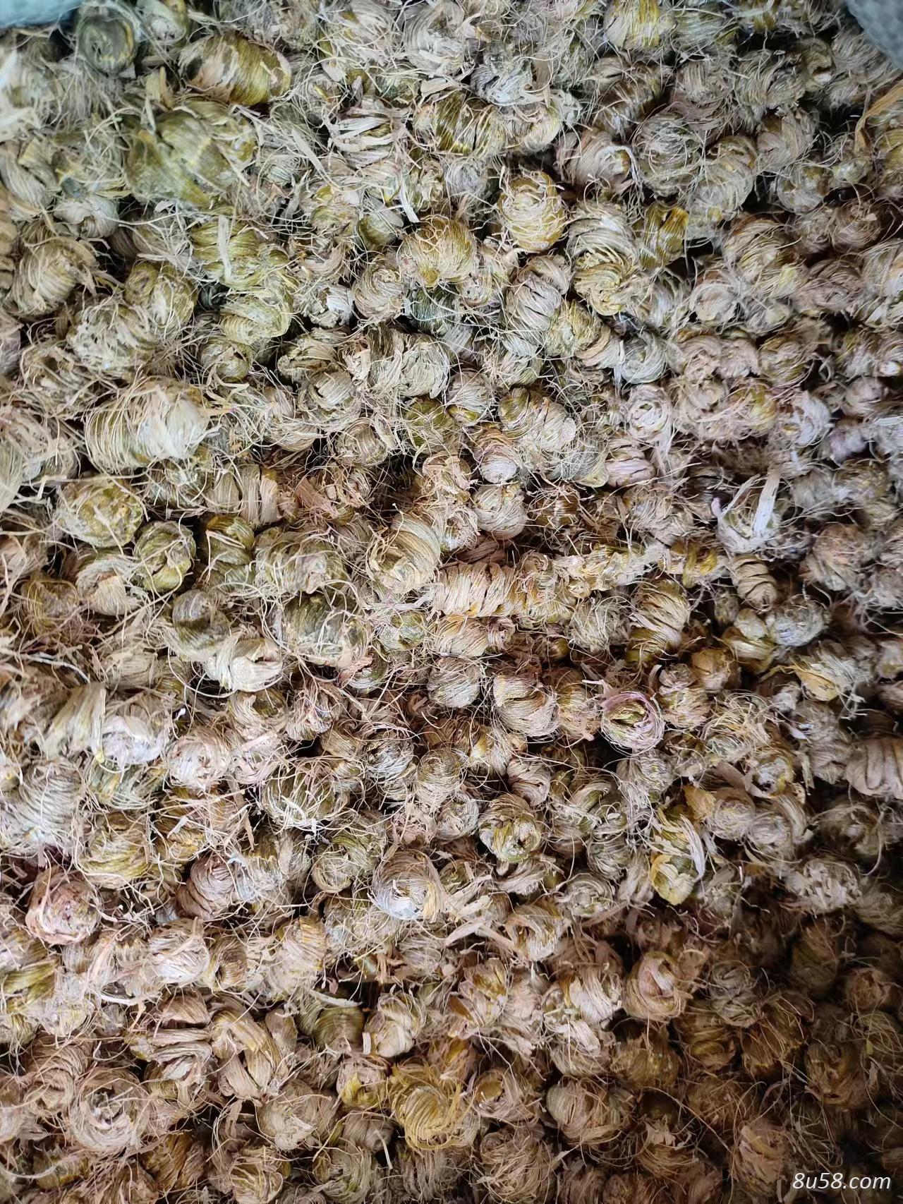 出售紫皮石斛枫斗