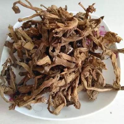 中药材曼陀罗花哪里能买到 曼陀罗花怎么用 曼陀罗花能治什么病 曼陀罗花一斤多少钱