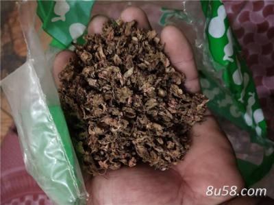 天然正品中药材凤仙花干花 出售 急性子批发 正品无硫指甲花产地