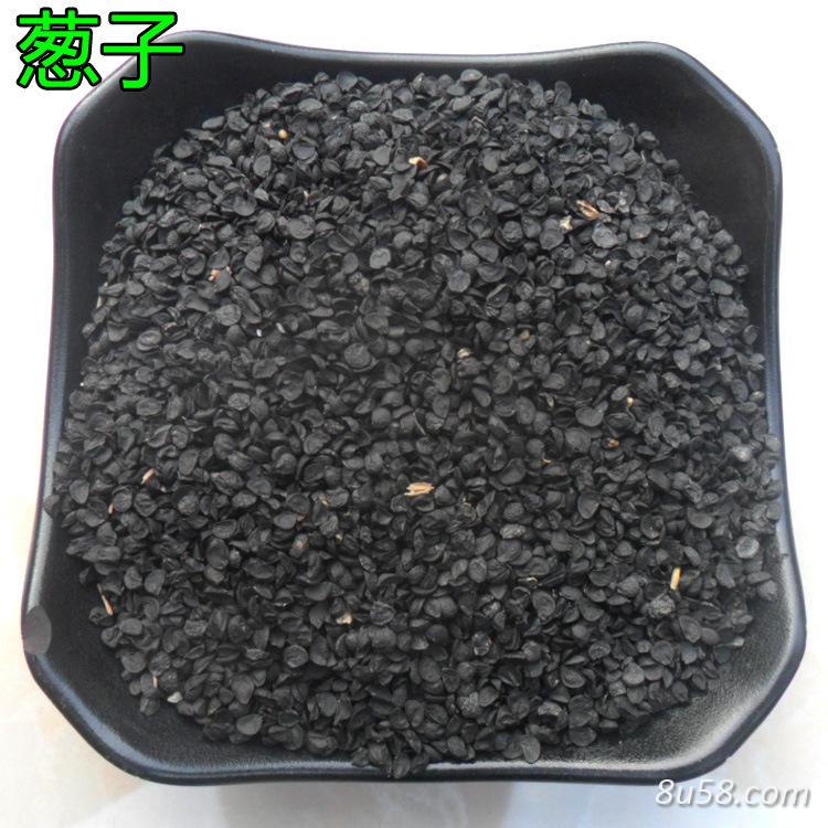 大葱子能治什么病 中药材葱子价格多少