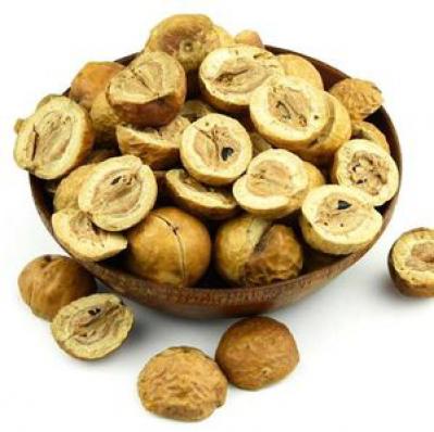 药用中药材苦楝子（川楝子）哪里能买到  金铃子一斤多少钱