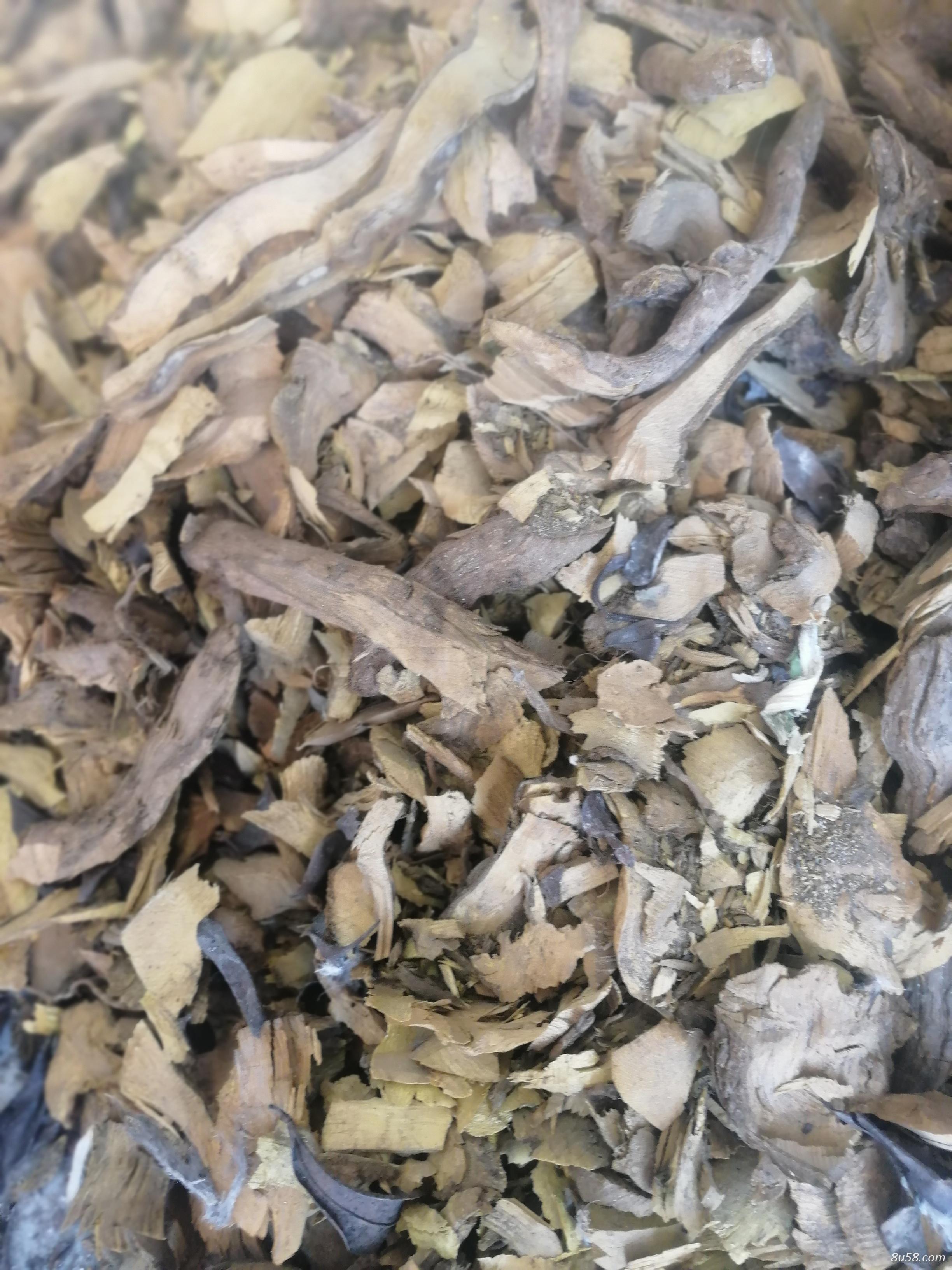 黄连批发