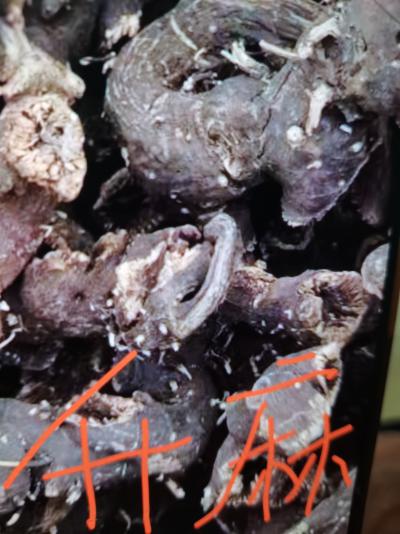 升麻