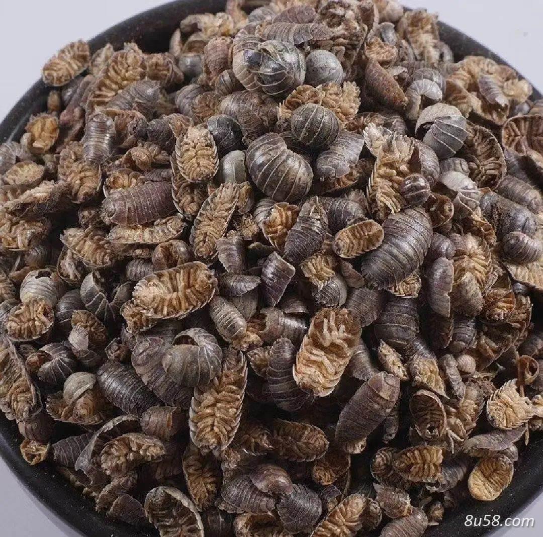 鼠妇虫中药材潮虫一公斤多少钱