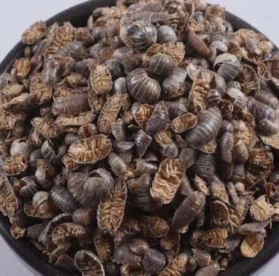 鼠妇虫中药材潮虫一公斤多少钱