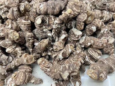 华重楼供应新鲜 干货