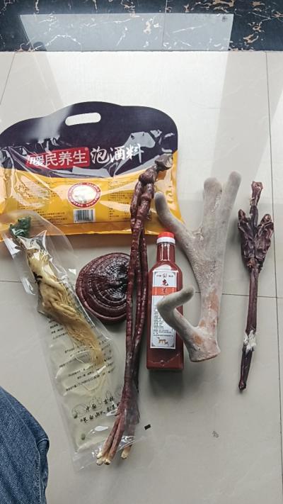 鹿鞭