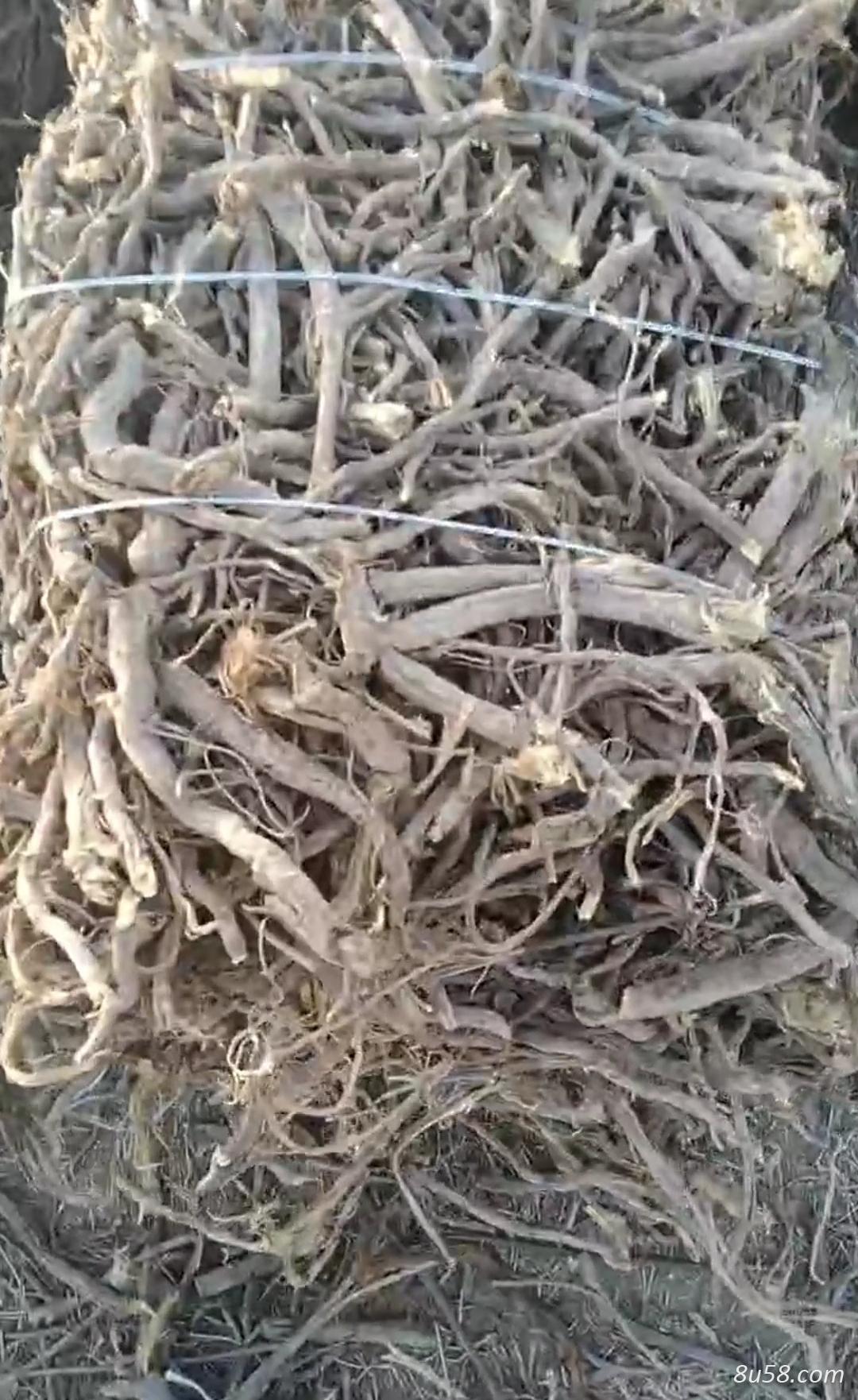 进口药材，甘草