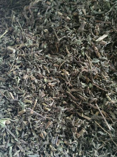 墨旱莲 旱莲草 全检