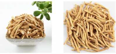 大量供应山东文登西洋参