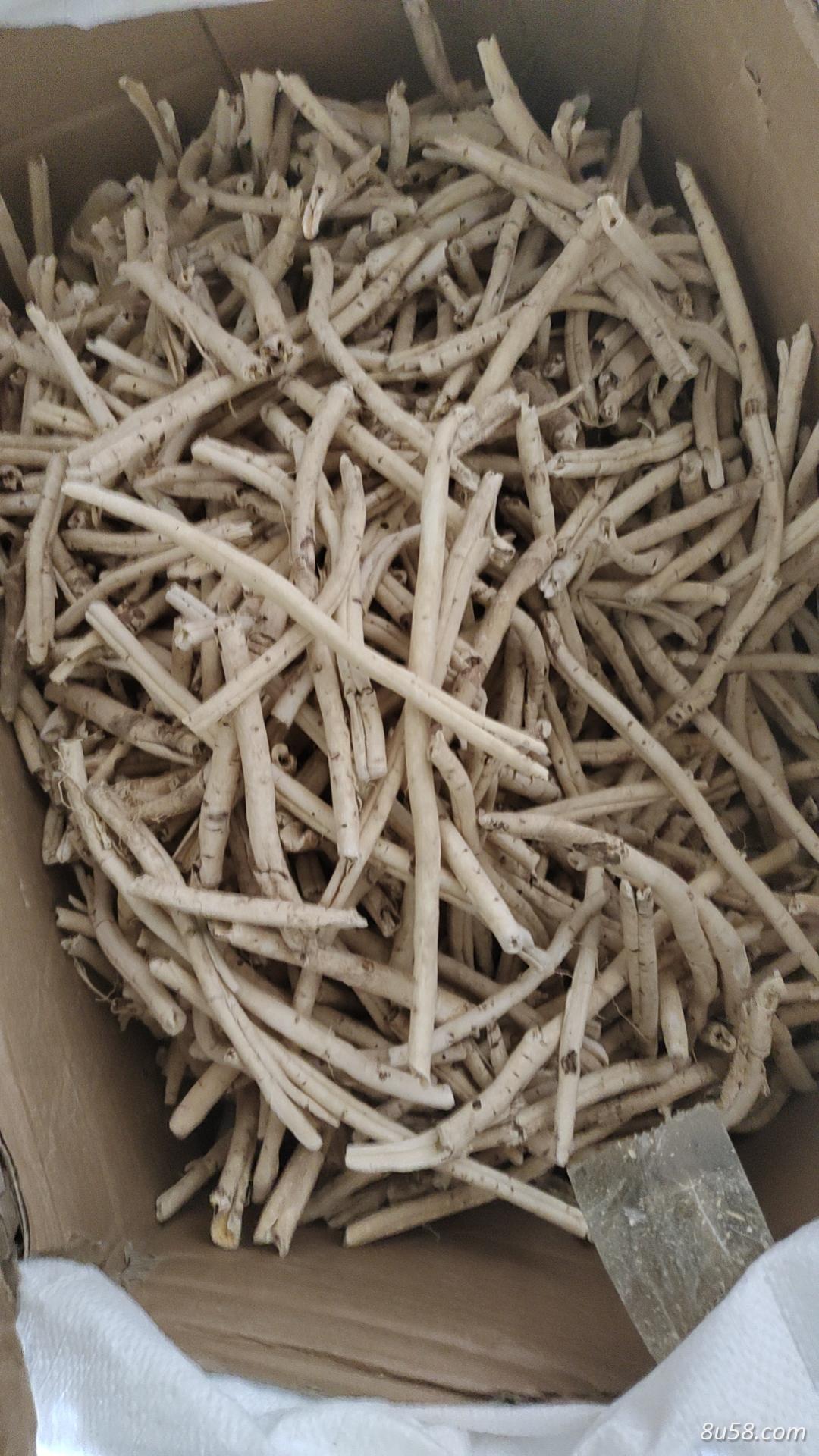 俄罗斯白鲜皮