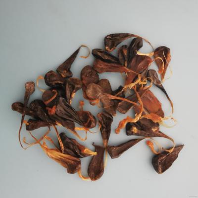 刺猬胆