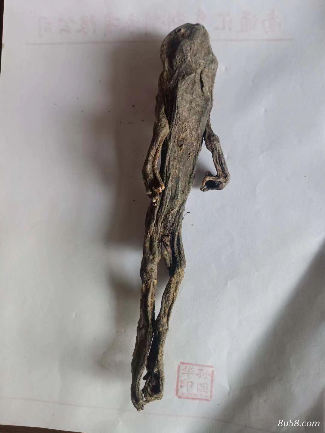中药干蟾多少钱一斤,商家
