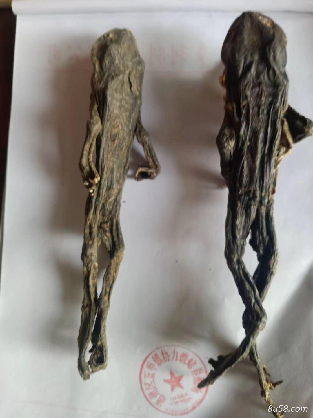 干蟾的用法用量是几克,商家