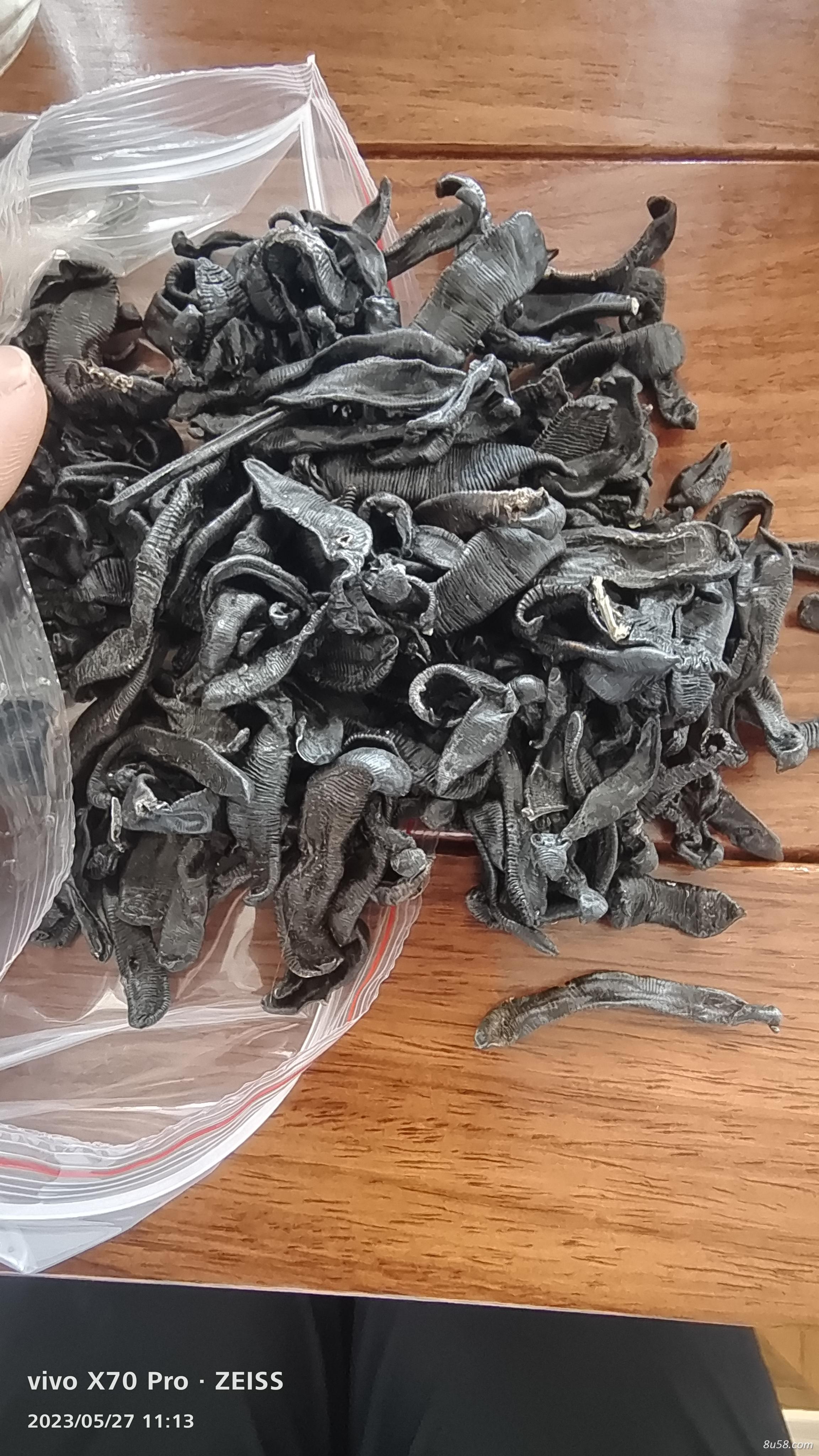 大量出售干水蛭